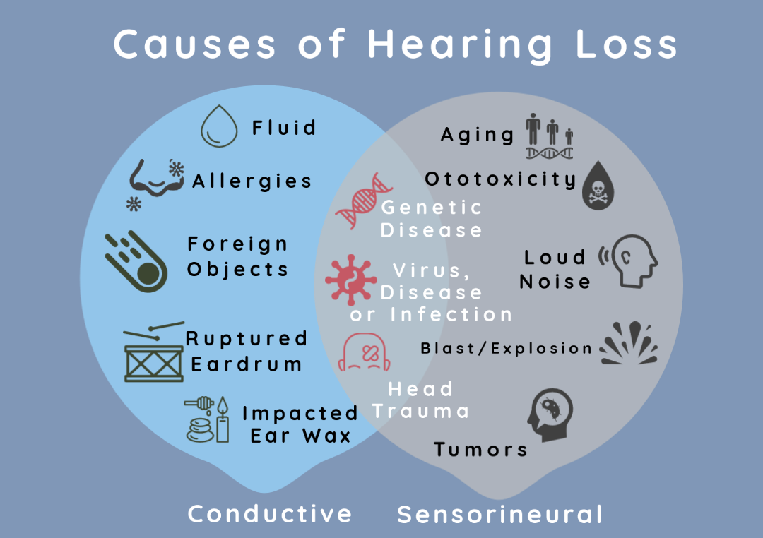 Causes of Hearing Loss
