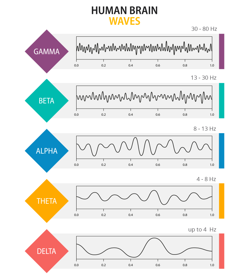 high and low frequency brain waves