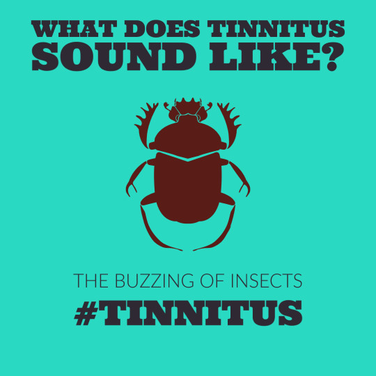 Tinnitus - The Buzzing of Insects